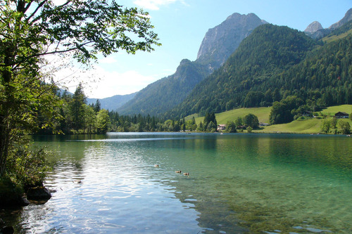 Paysage Alpin en Bavière
